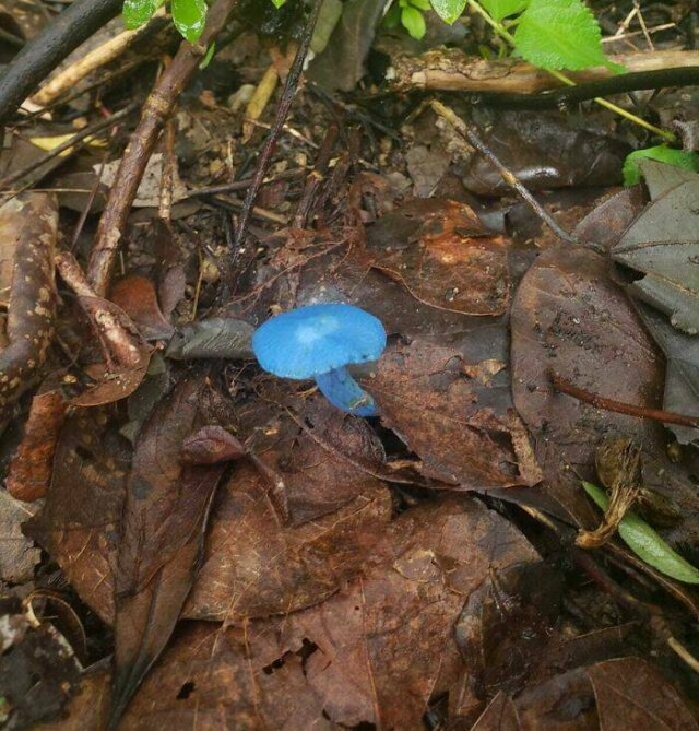 Impressive Finds (24 pics)