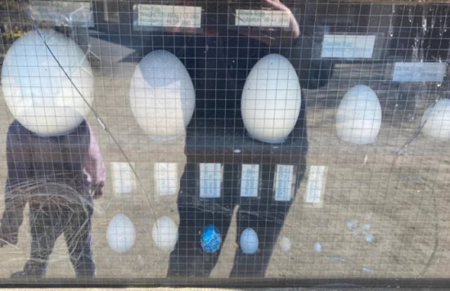Hidden Easter Eggs In Real Life (24 pics)