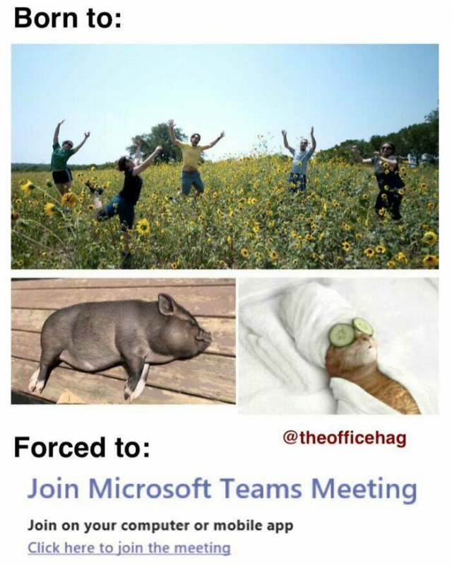 Office Memes (22 pics)
