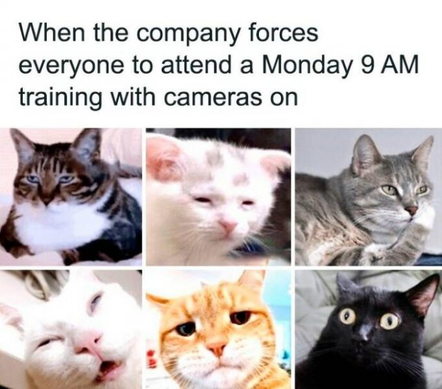 Office Memes (22 pics)