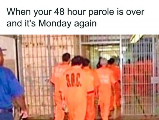 Office Memes (22 pics)