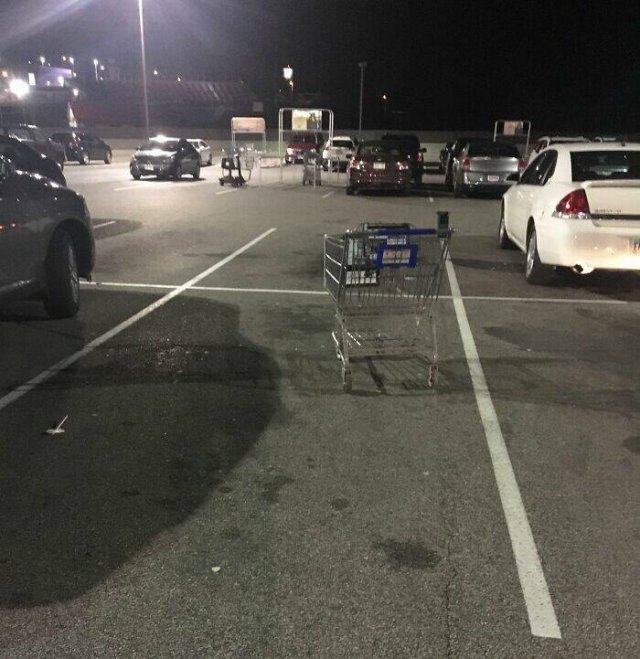 Annoying People (24 pics)