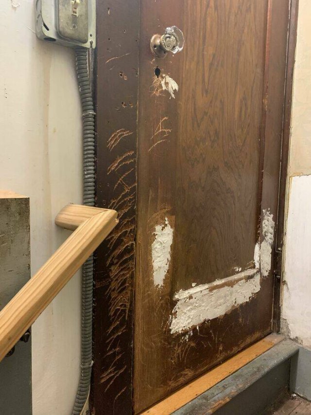 Creepy Finds In Houses (23 pics)