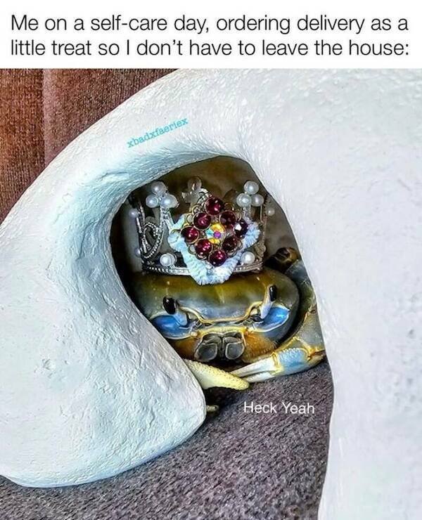 Posts And Photos For Good Mood (18 pics)