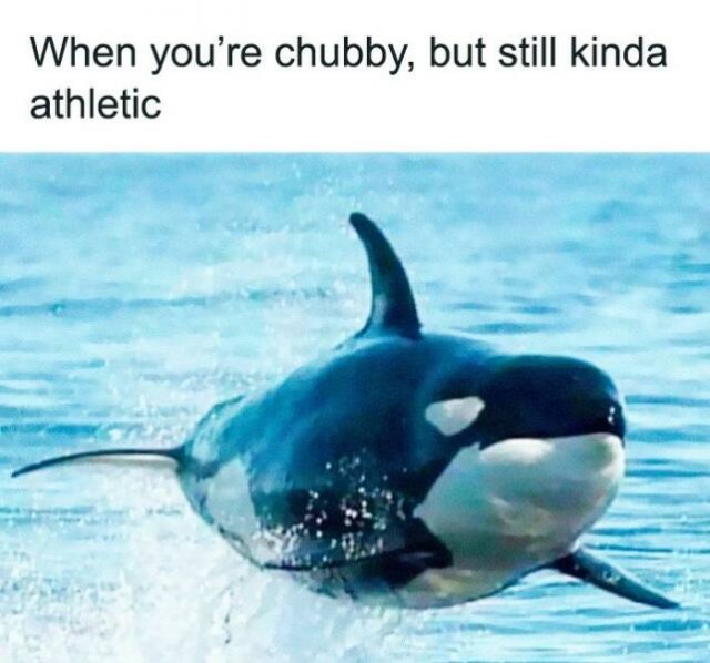 Funny Memes (20 pics)