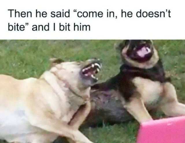 Funny Memes (20 pics)