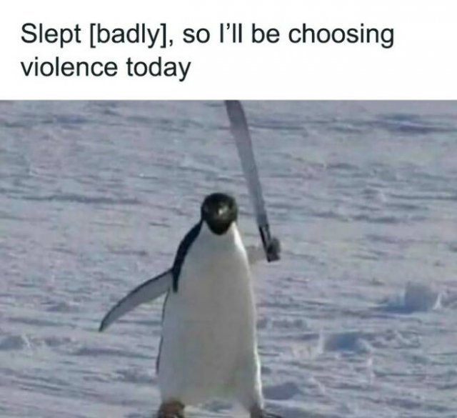 Funny Memes (20 pics)