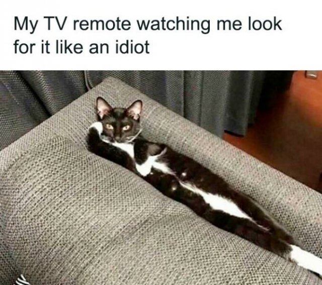 Funny Memes (20 pics)