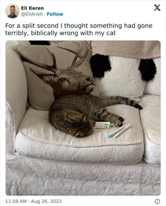 Hilarious Tweets (24 pics)