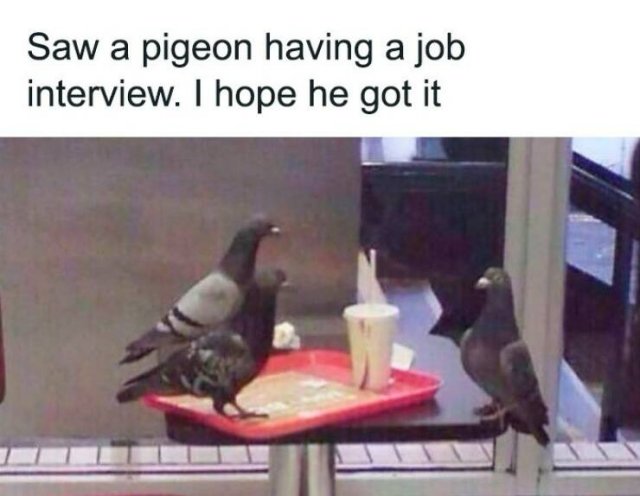 Funny Memes (20 pics)