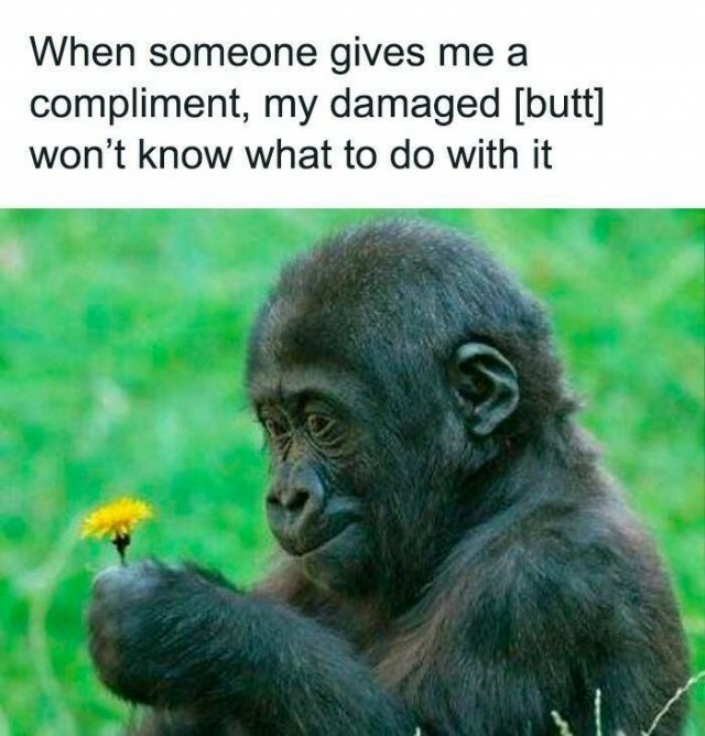 Funny Memes (20 pics)
