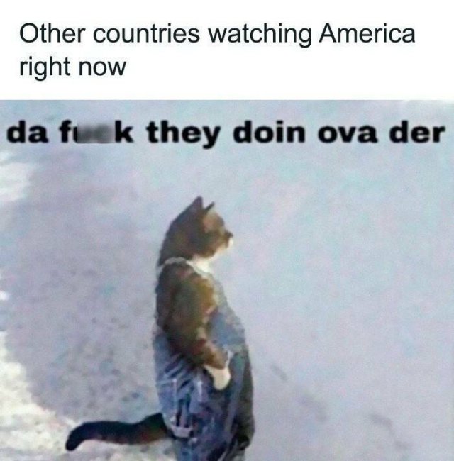 Funny Memes (20 pics)