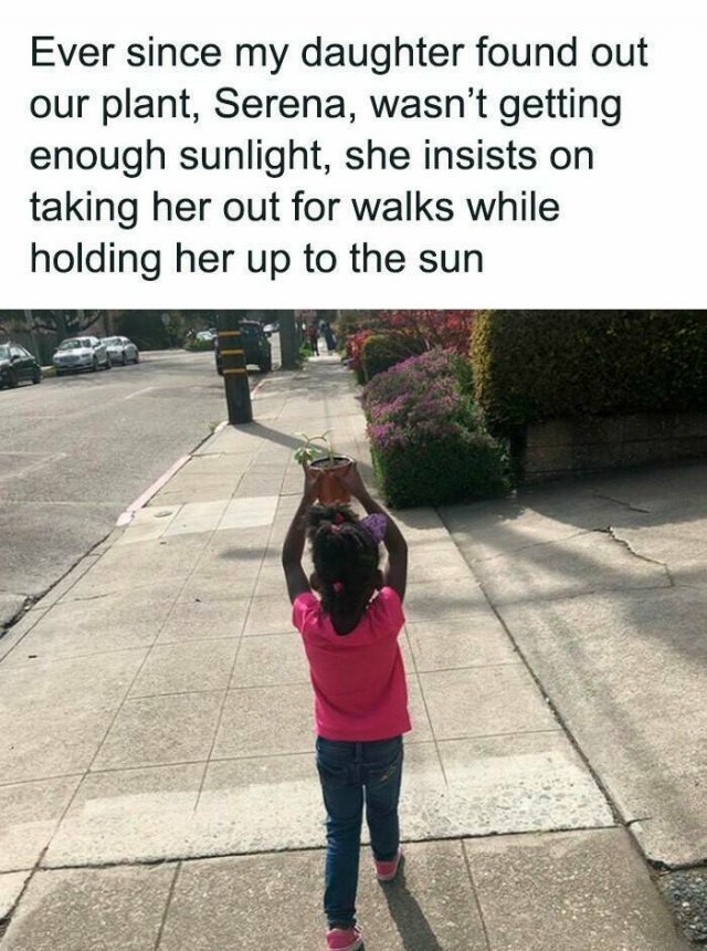 Hilarious Tweets (24 pics)