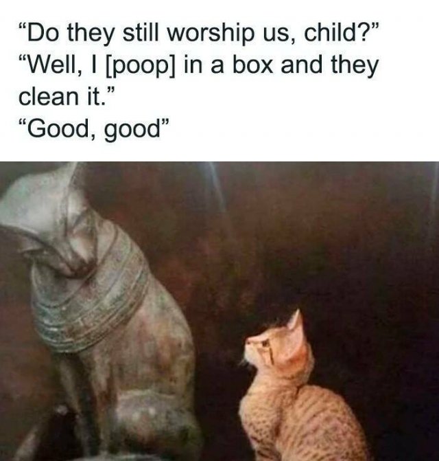 Funny Memes (20 pics)