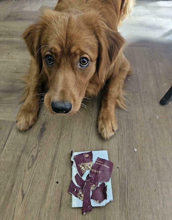 Bad Days Happen (25 pics)