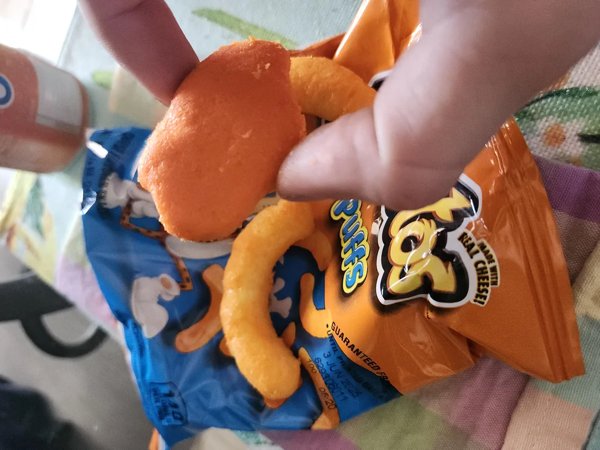 Interesting Finds (24 pics)