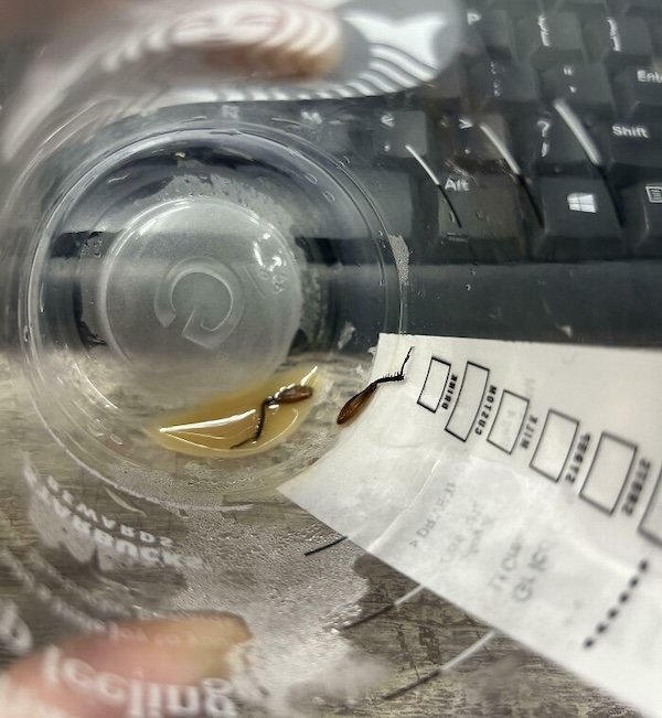 Bad Days Happen (25 pics)