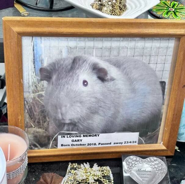 Weird Finds In Thrift Shops (24 pics)