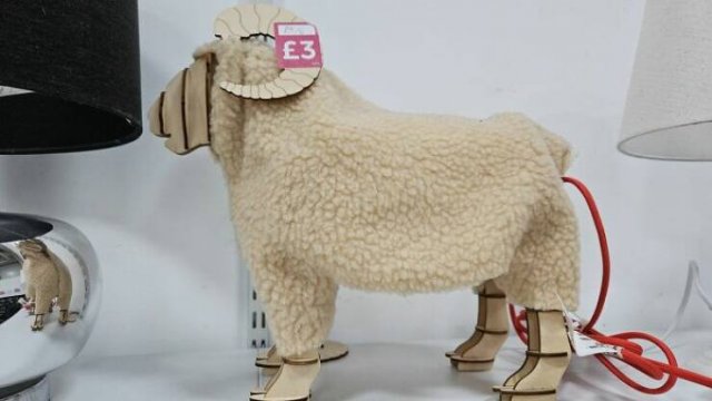Weird Finds In Thrift Shops (24 pics)