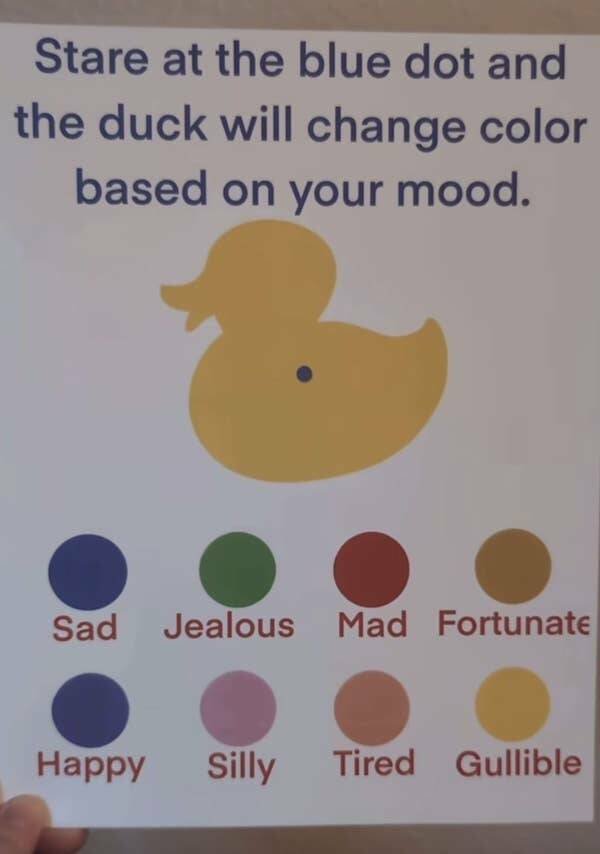 Funny Signs (19 pics)