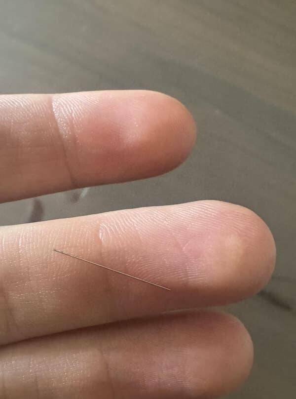 Interesting Finds (19 pics)