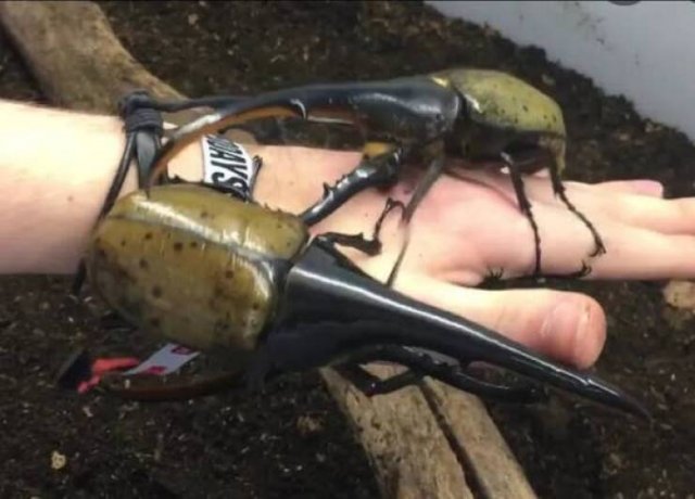 Interesting Finds (19 pics)