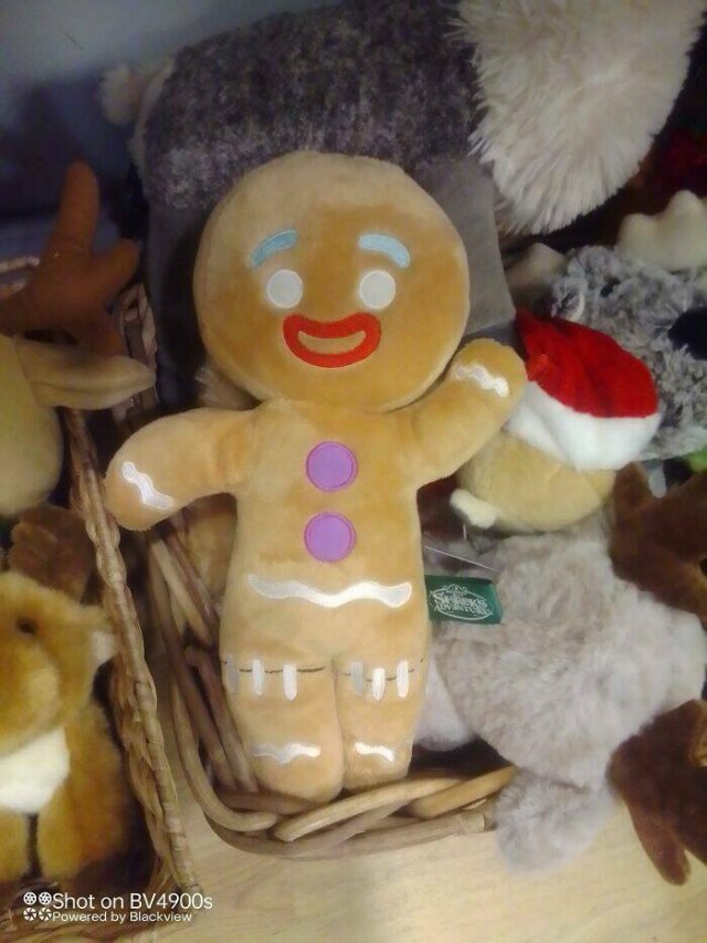 Weird Finds In Thrift Shops (24 pics)