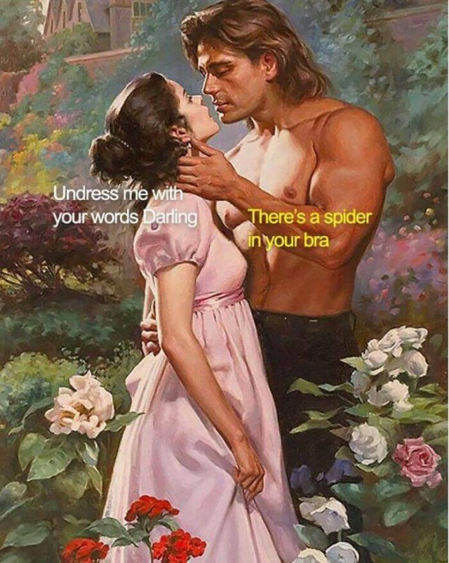 Classical Memes (19 pics)