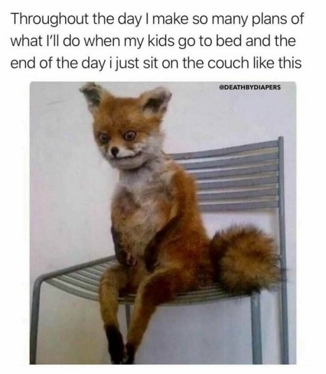 Jokes For Parents (24 pics)