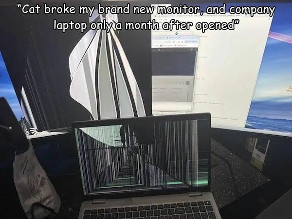 Bad Days Happen (36 pics)