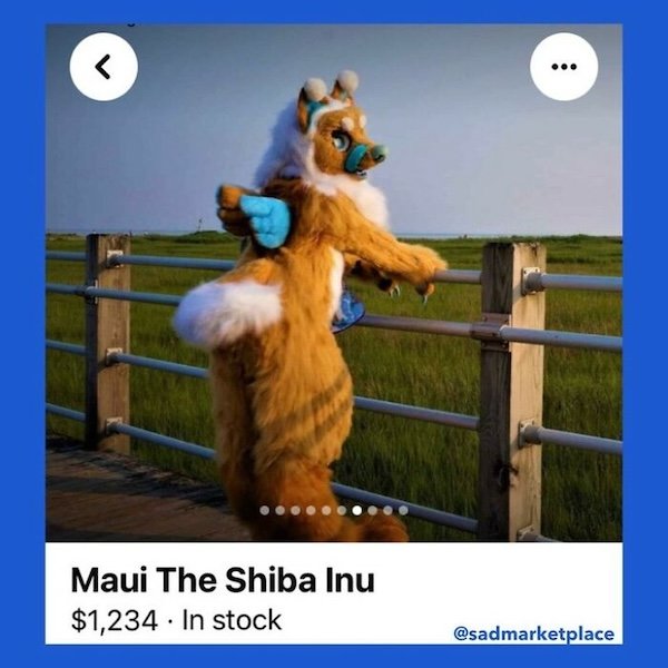Crazy Products On The Internet (29 pics)