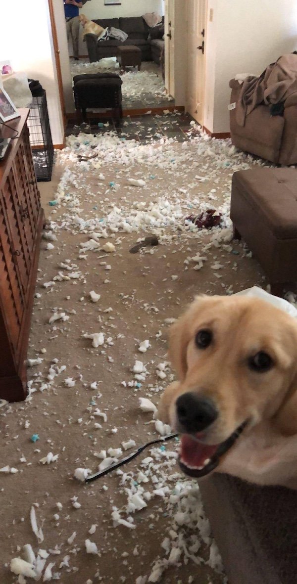 Bad Days Happen (36 pics)