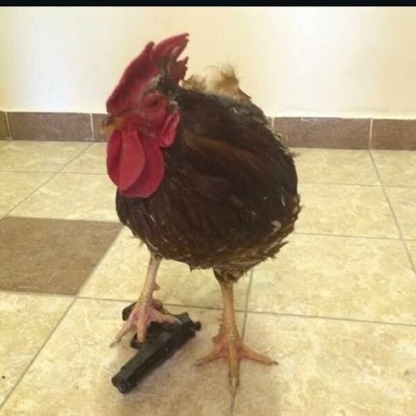 Bad Days Happen (36 pics)