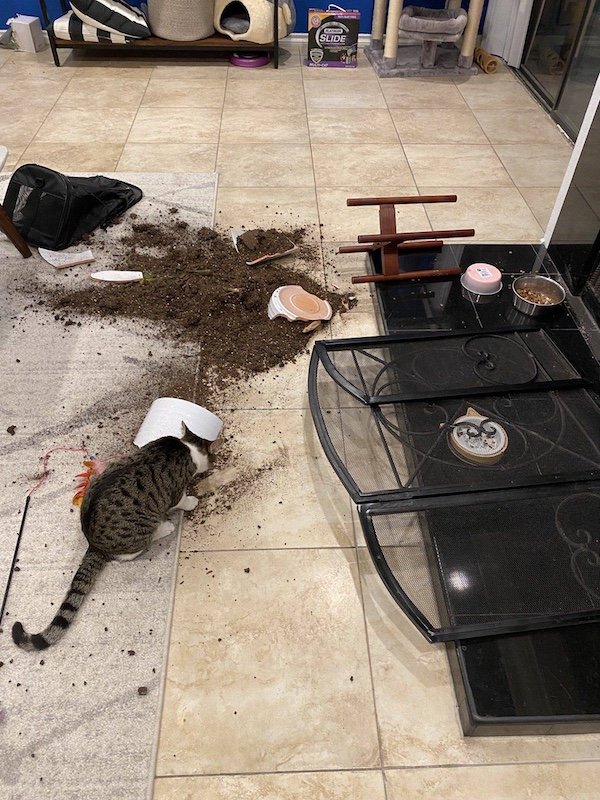 Bad Days Happen (36 pics)