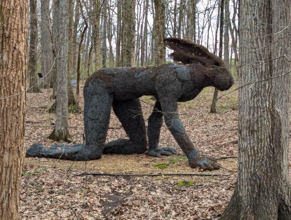 Strange Designs (23 pics)