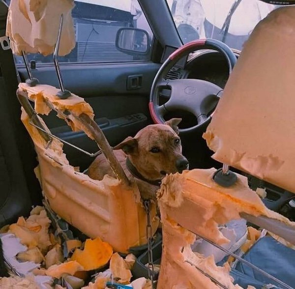 Bad Days Happen (36 pics)