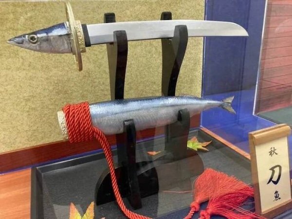 Unusual DIY Crafts (28 pics)