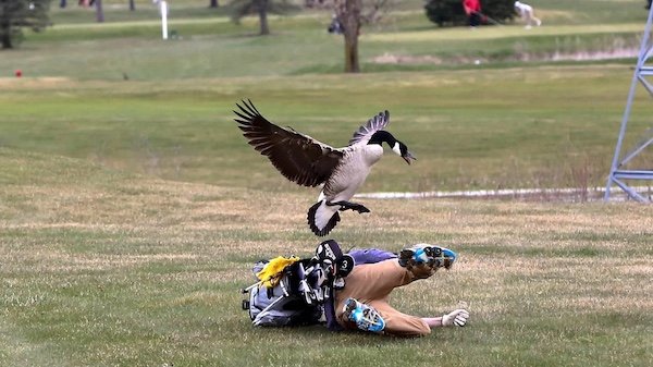 Bad Days Happen (36 pics)