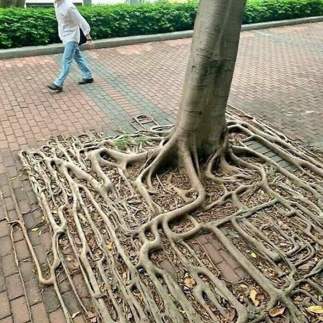 Interesting Photos (16 pics)