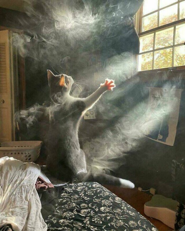 Interesting Photos (16 pics)