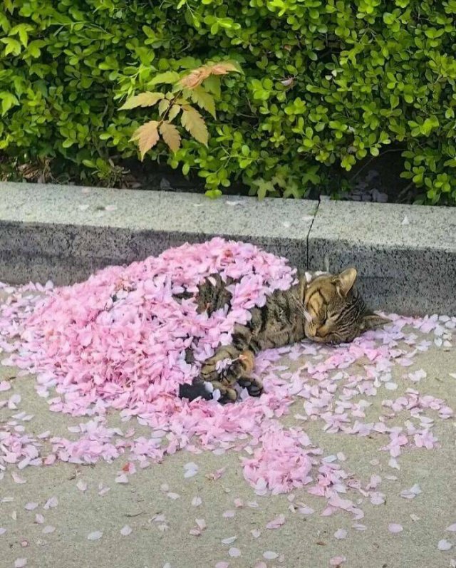 Interesting Photos (16 pics)