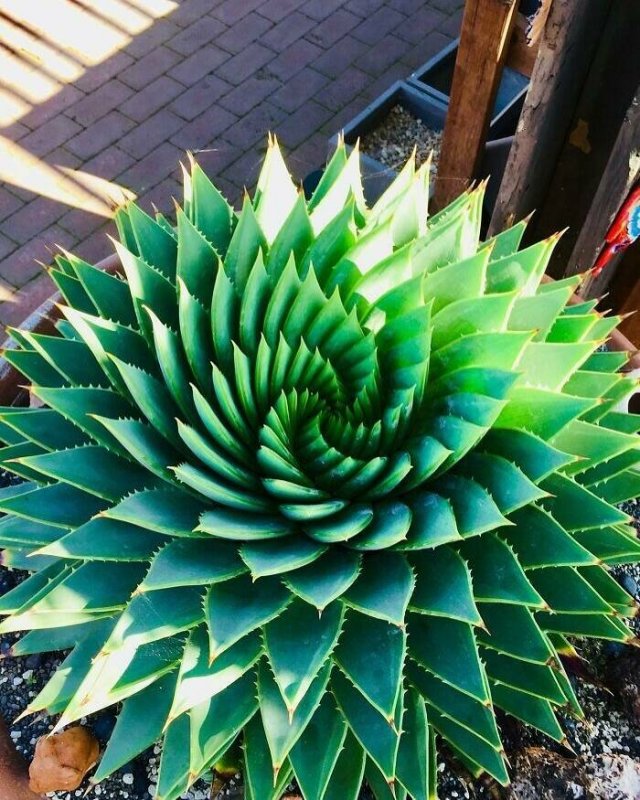 Interesting Photos (16 pics)