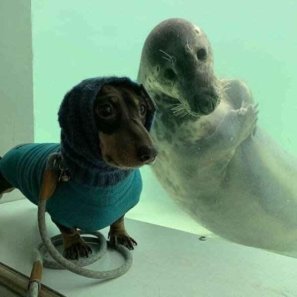 Interesting Photos (16 pics)