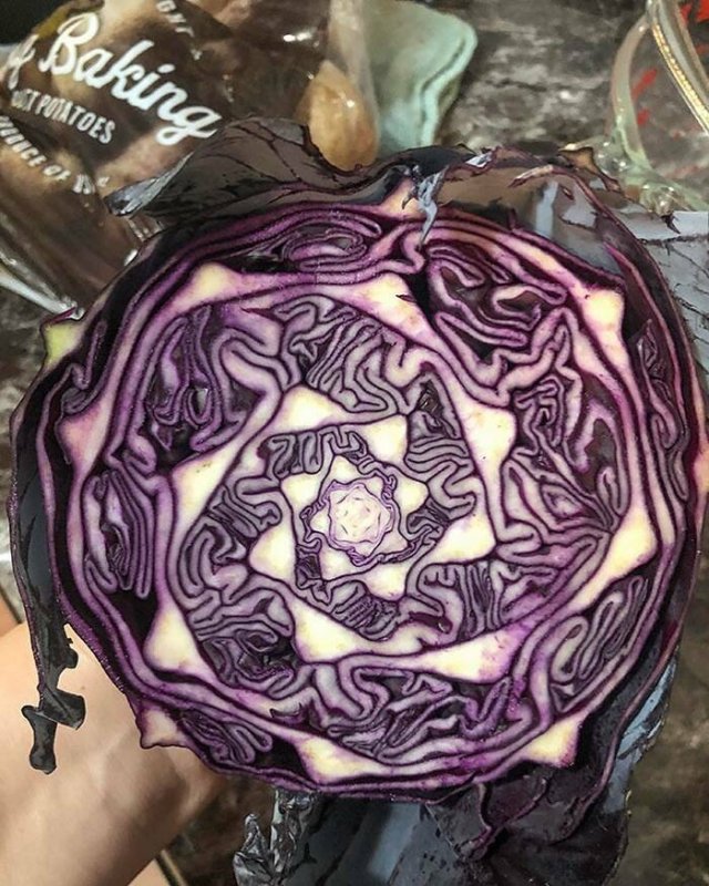Interesting Photos (16 pics)