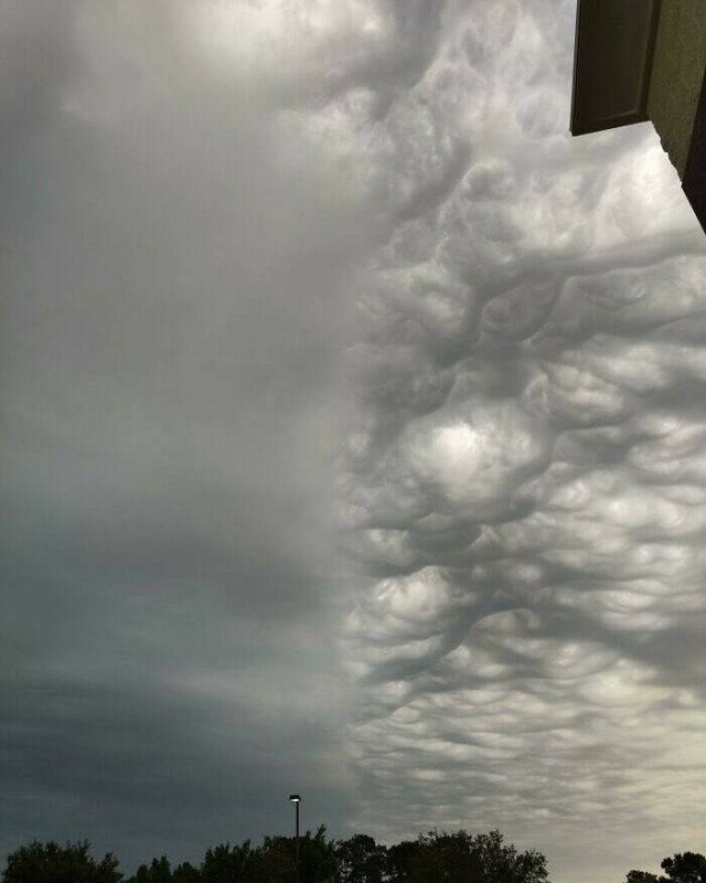 Interesting Photos (16 pics)