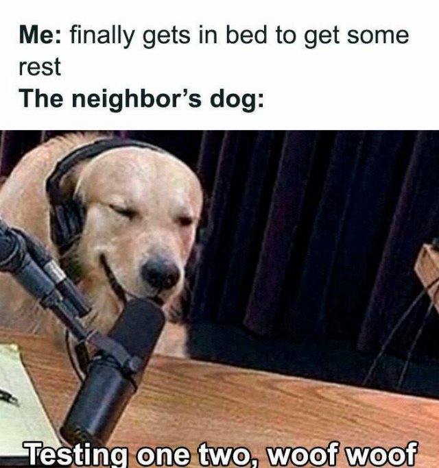 Funny Memes (19 pics)