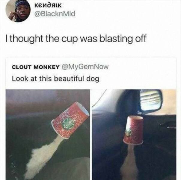 Funny Memes (19 pics)