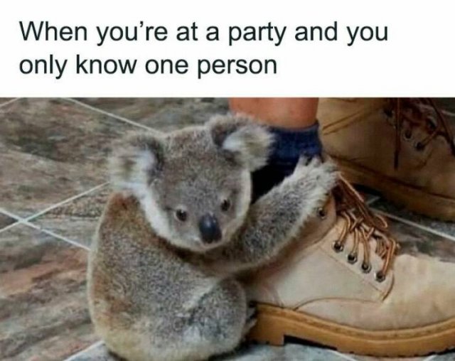 Funny Memes (19 pics)