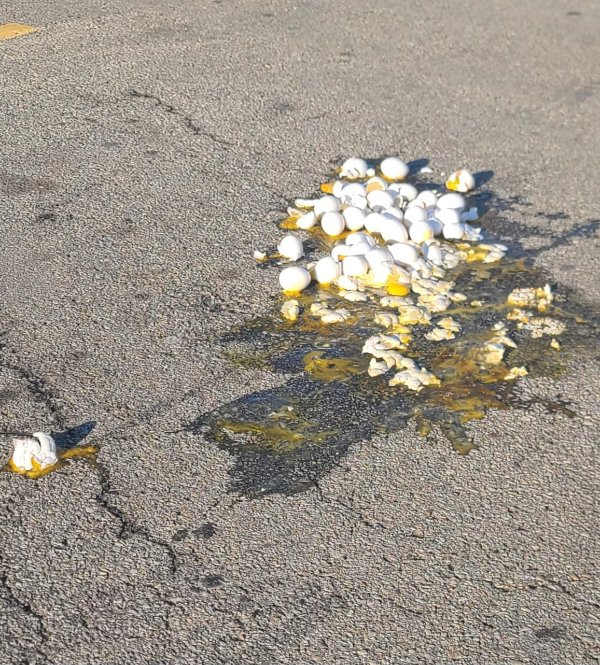 Bad Days Happen (25 pics)