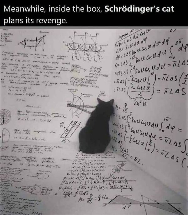 Science Memes (24 pics)